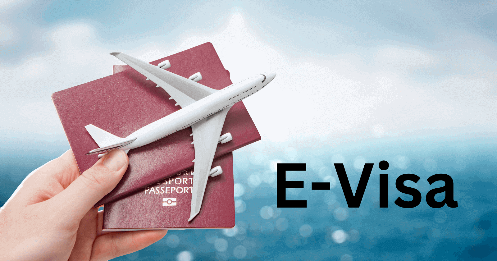 Vietnam E-Visa Guide for International Students & Interns